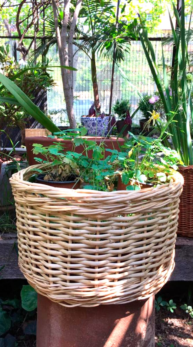 Canasto Mimbre 20x40 Blanco2