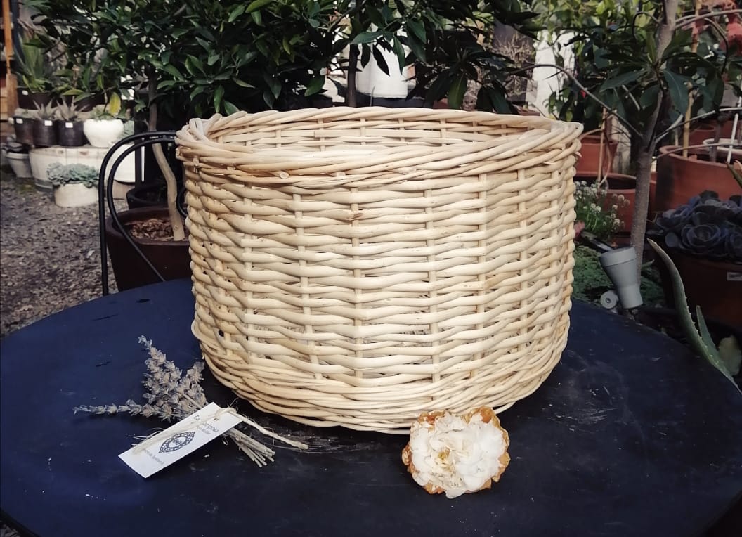 Canasto Mimbre 20x40 Blanco3