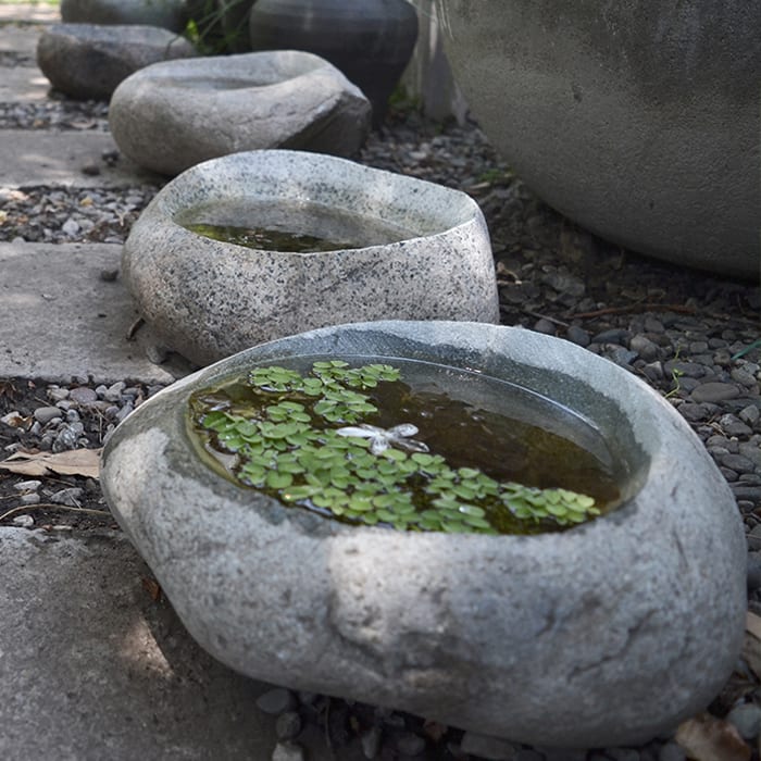 Piedra Escavada / Mortero1