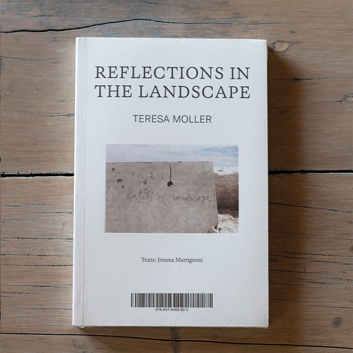 Reflexiones en el paisaje1