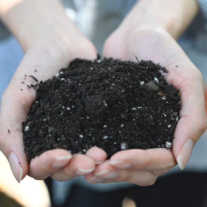 Sustrato Maceteros 20L2