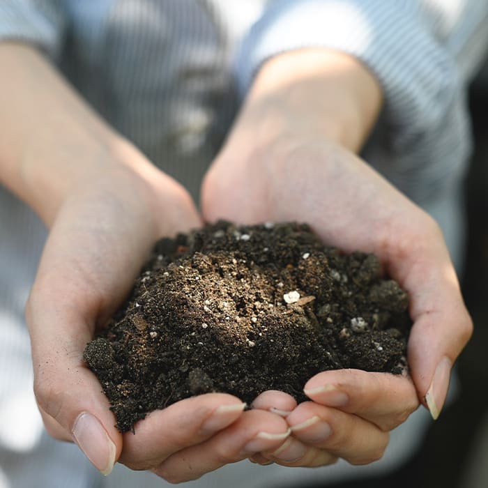 Sustrato Suculentas 10L2