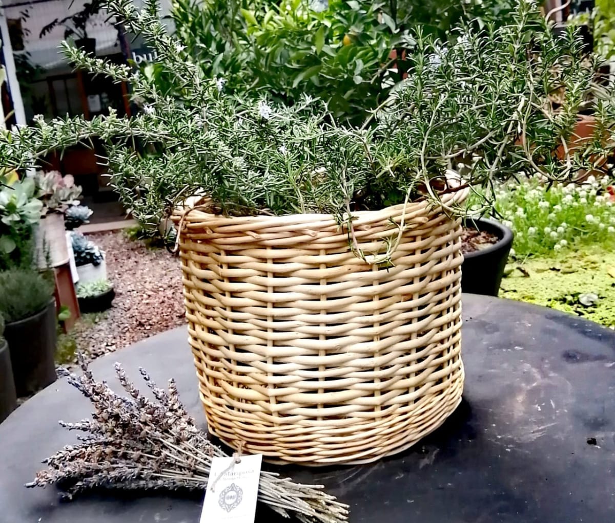 Canasto Mimbre 25x30 blanco2