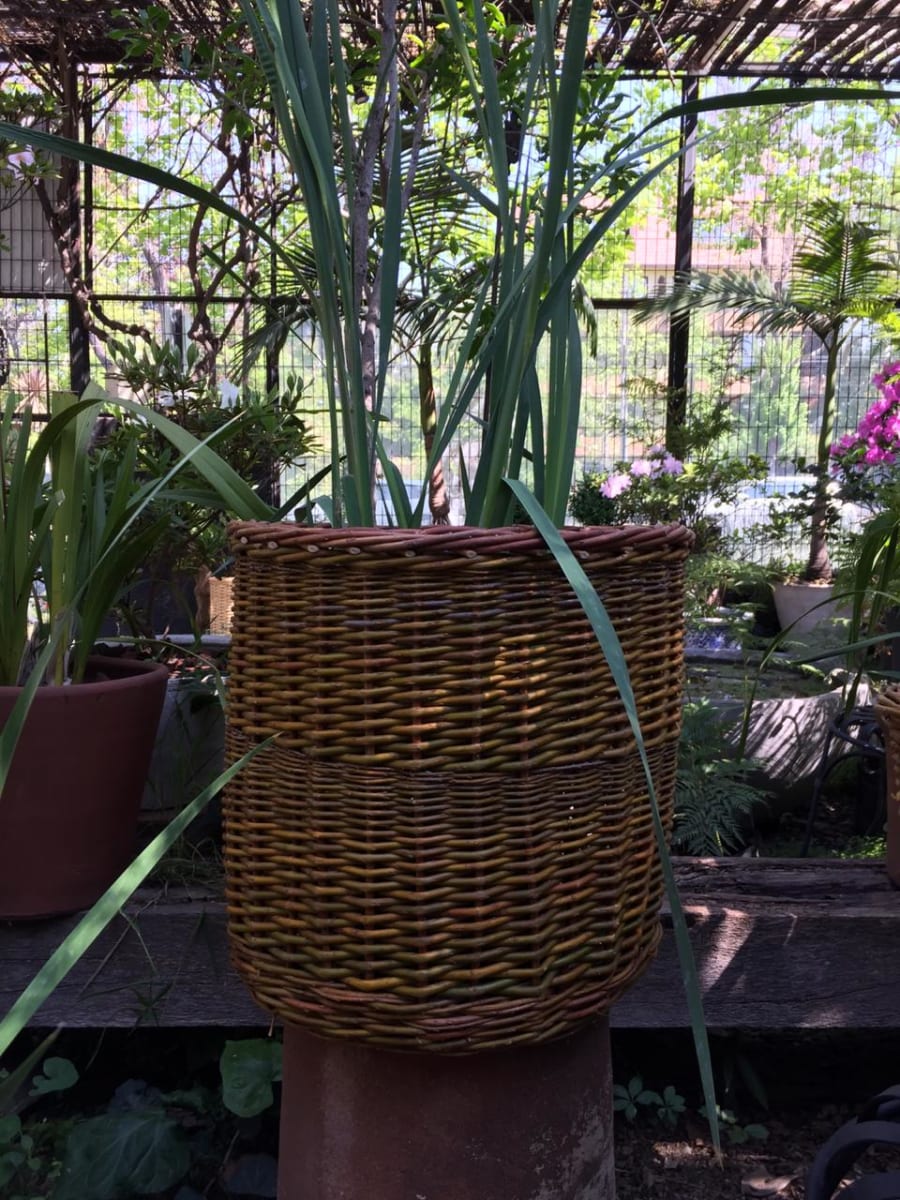 Canasto Mimbre 40x403