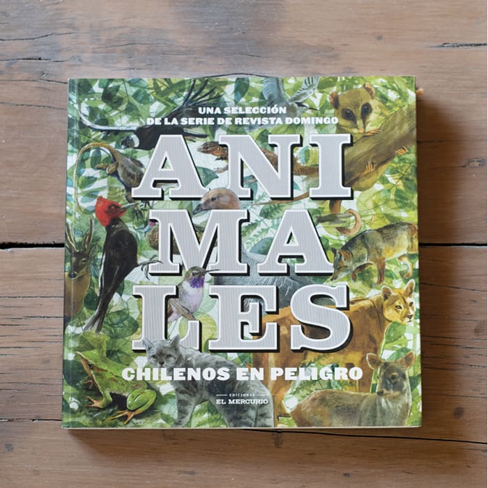Animales Chilenos en Peligro