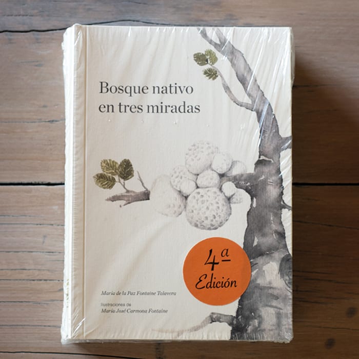 Bosque Nativo en Tres Mirada