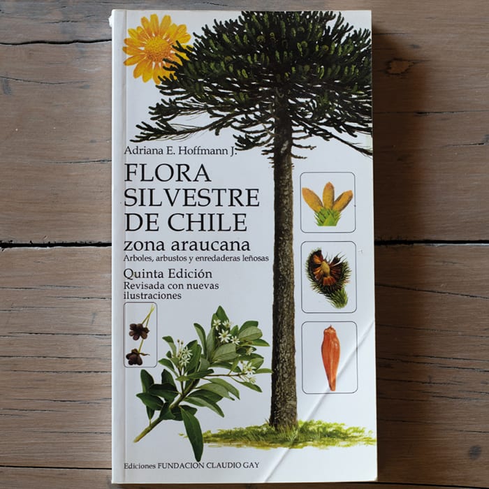 Flora Silvestre Chile Zona Araucana