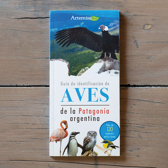 Guía de Identificación Aves de la Patagonia Argentina