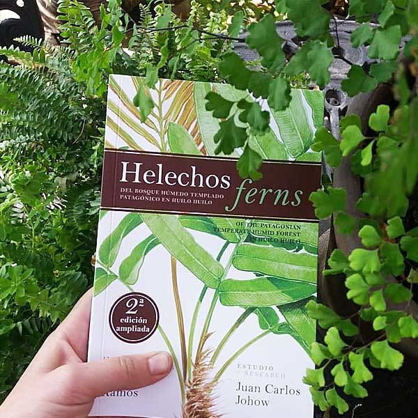 Helechos del Bosque Húmedo