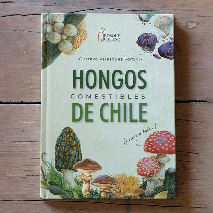 Hongos comestibles de Chile