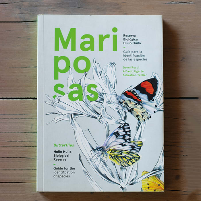 Mariposas de la reserva biológica Huilo Huilo