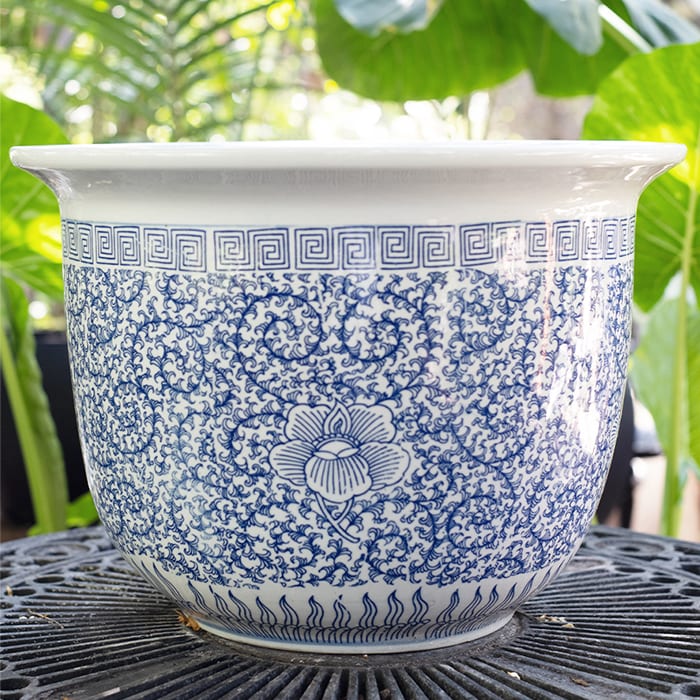 Porcelana Ming 48x35