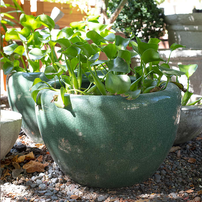 Fuente Porcelana Ming 55x35cm