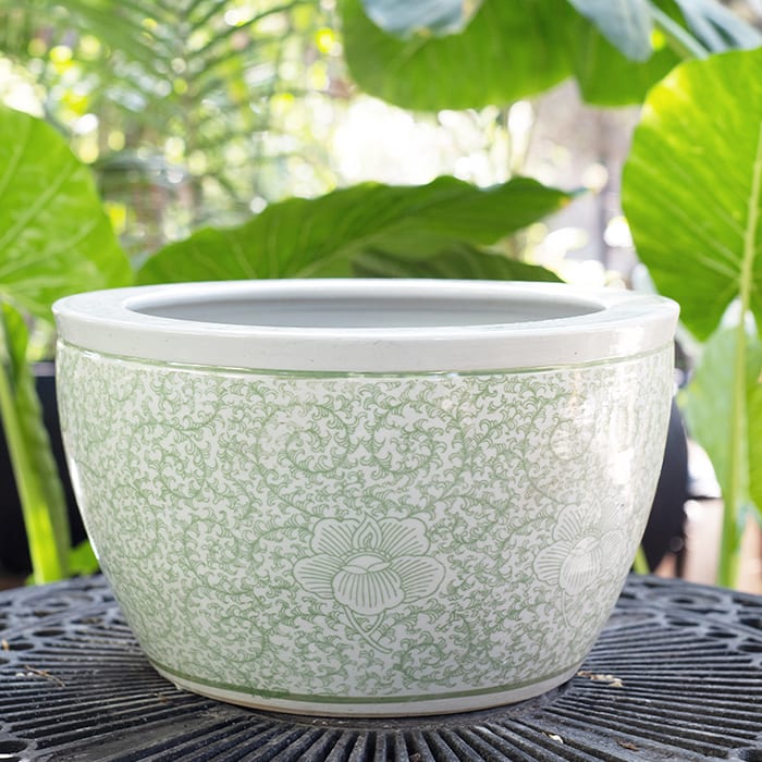 Porcelana Ming 41x25