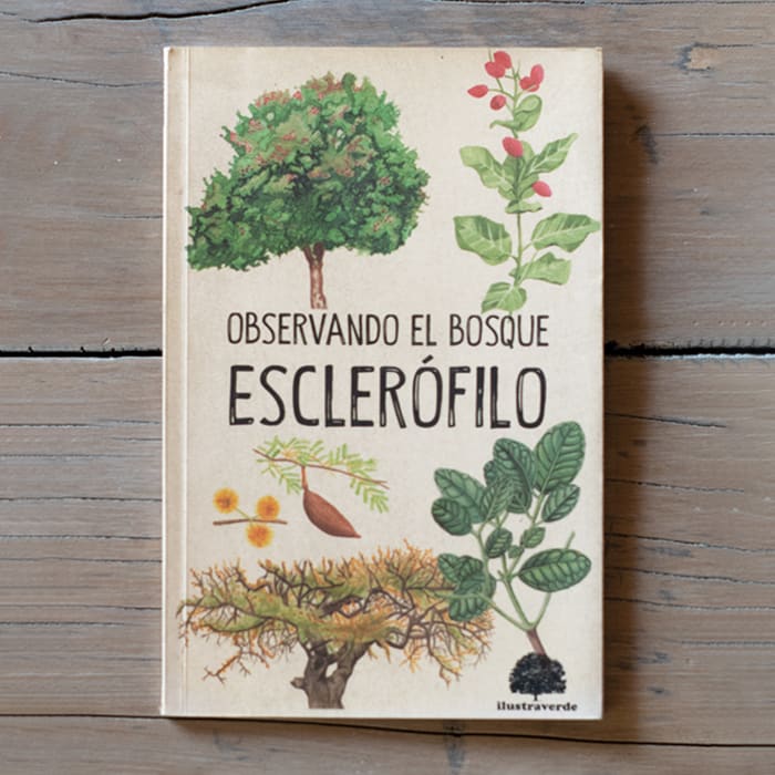 Observando el Bosque Esclerófilo