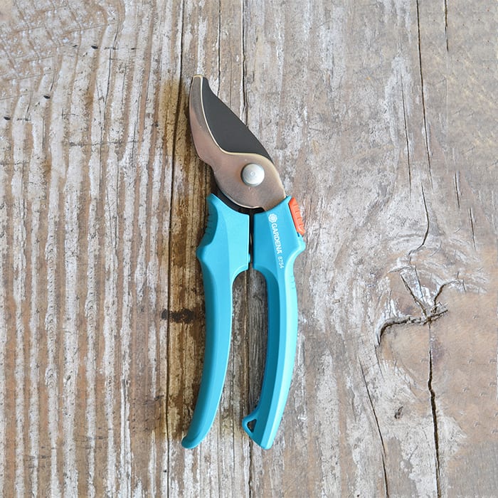 Tijeras para Podar Classic