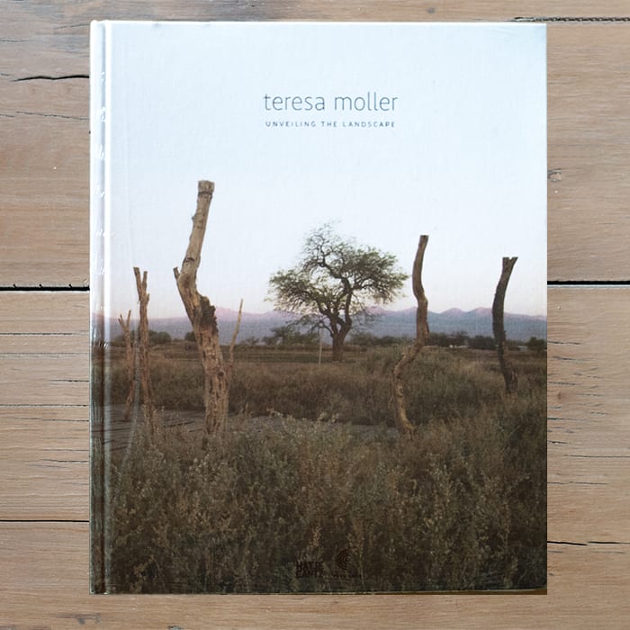 Unveiling the Landscape