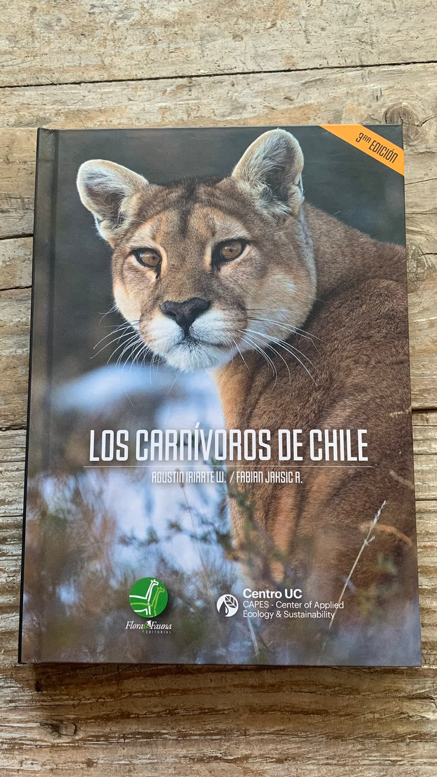 Los Carnívoros de Chile