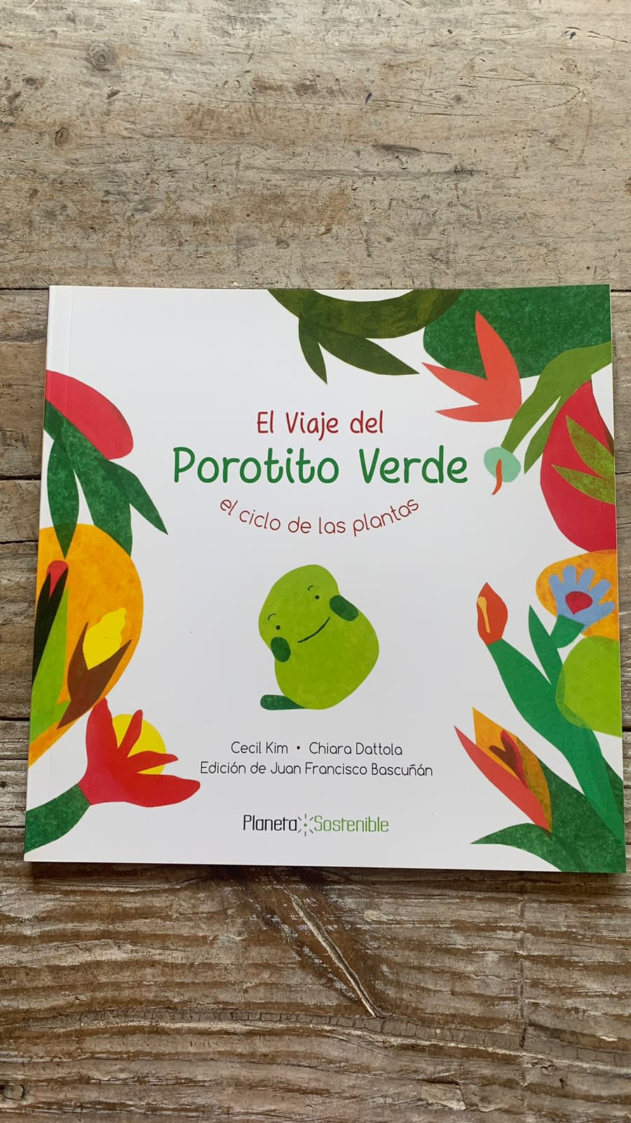 El Viaje del Porotito Verde