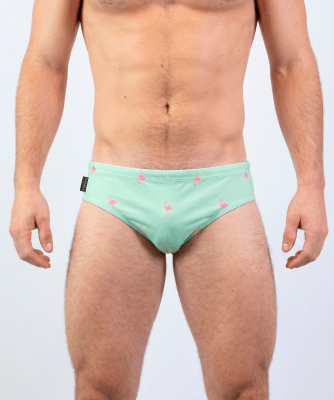 Sunga Verde Pastel estampado flamingo