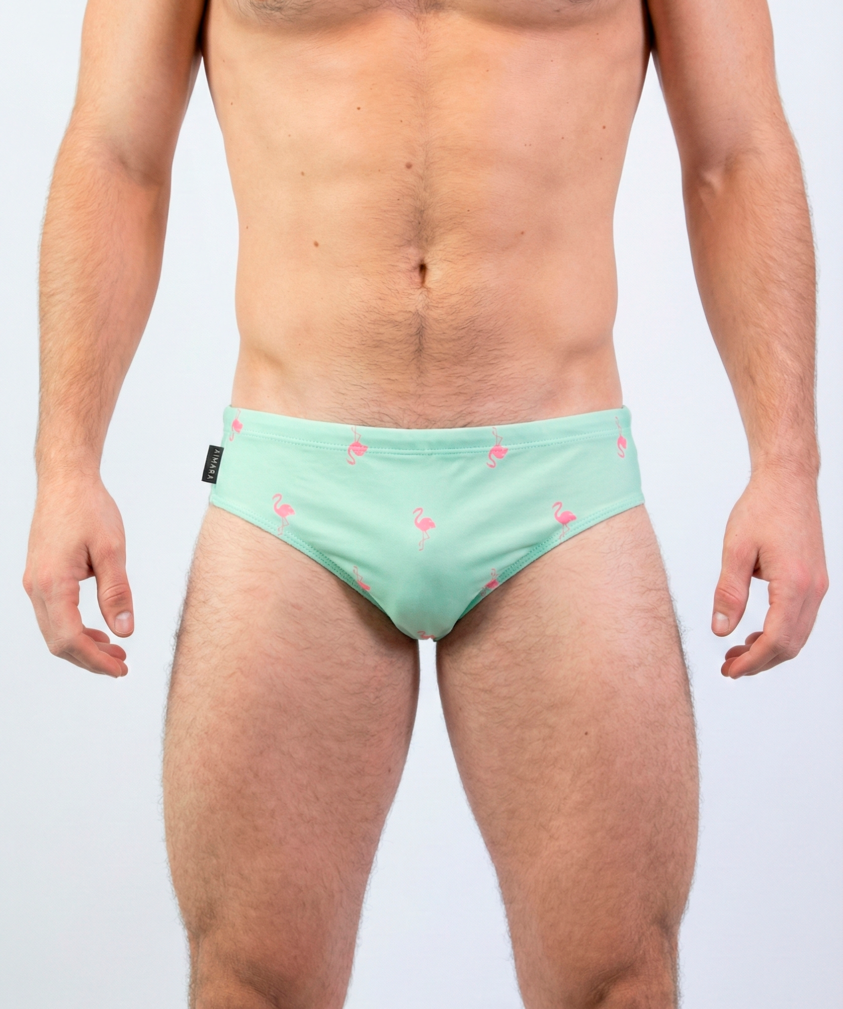 Sunga Verde Pastel estampado flamingo1