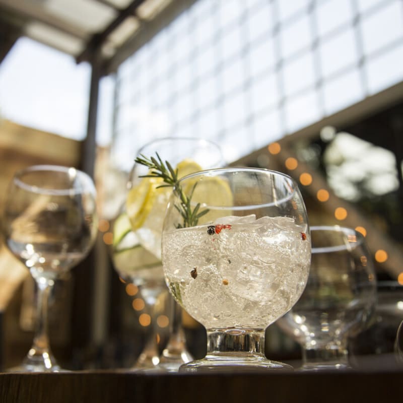 COPA AV LISA PREMIER HELADO 21 OZ