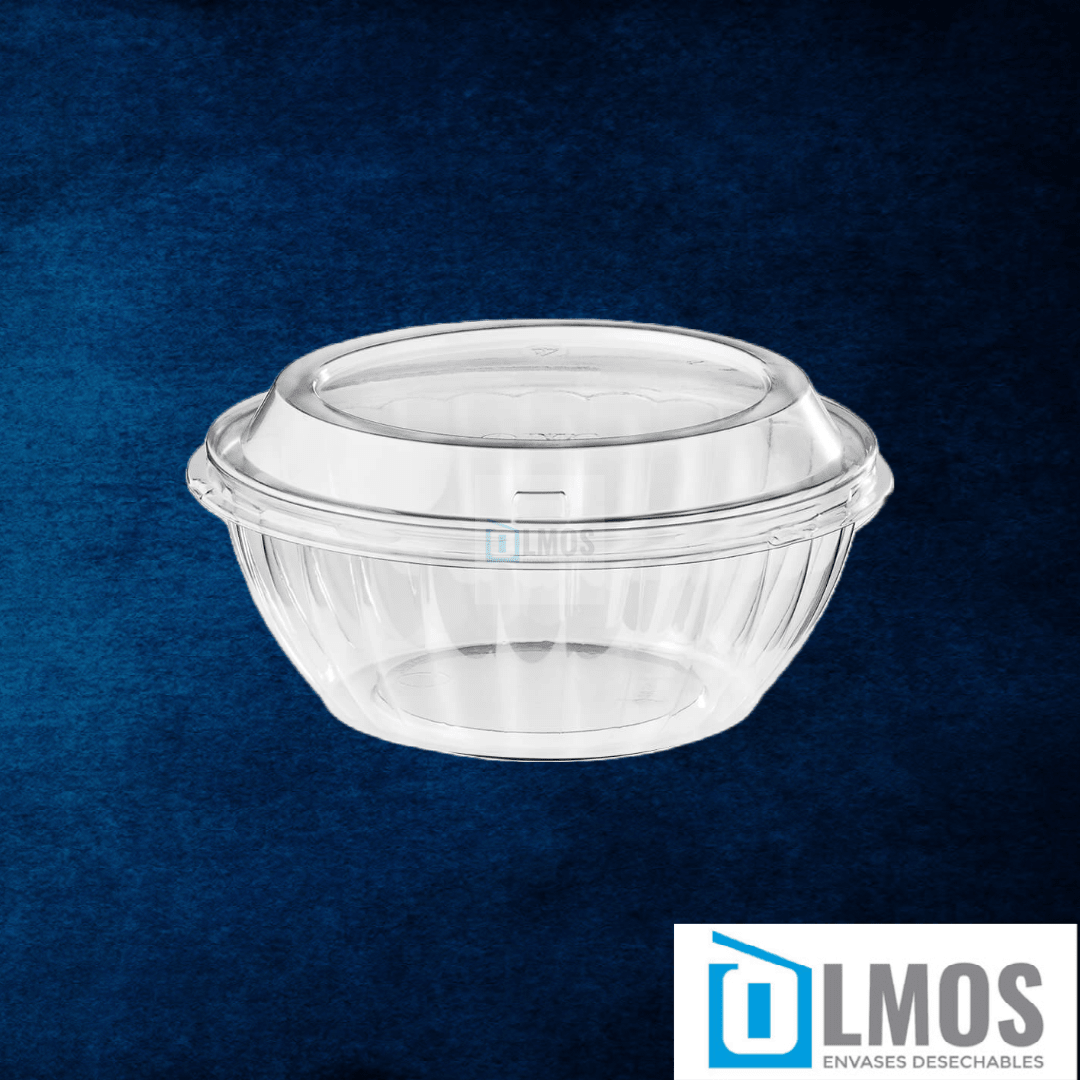 Bowl vegetariano 1