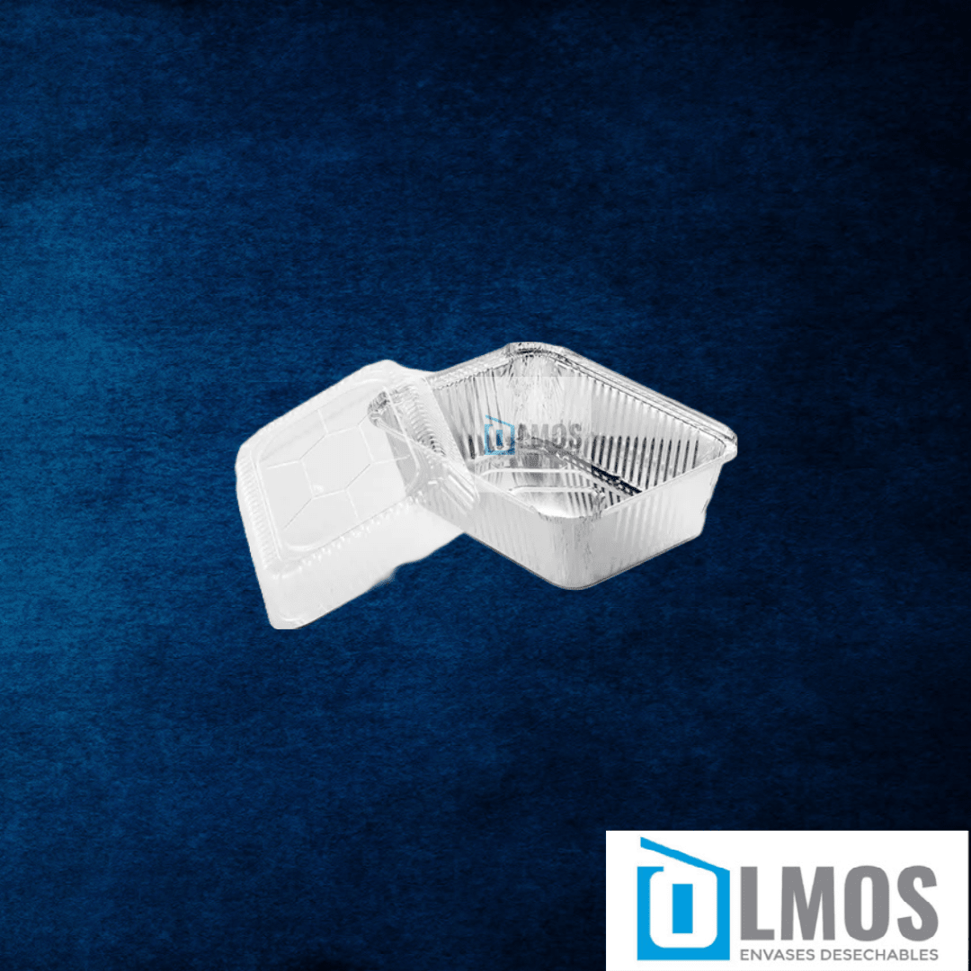 Envases Aluminio(VARIEDADES)13