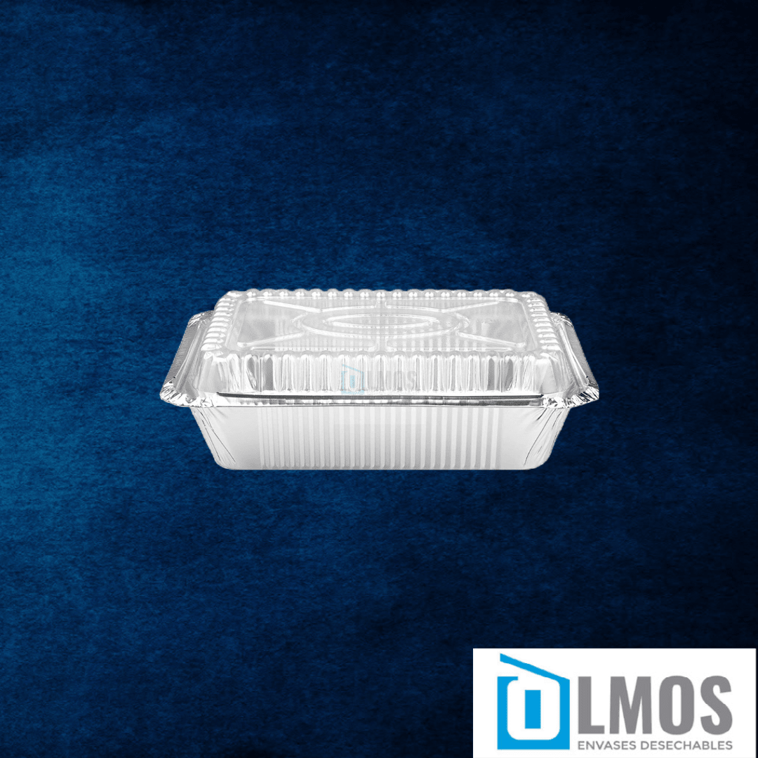 Envases Aluminio(VARIEDADES)10