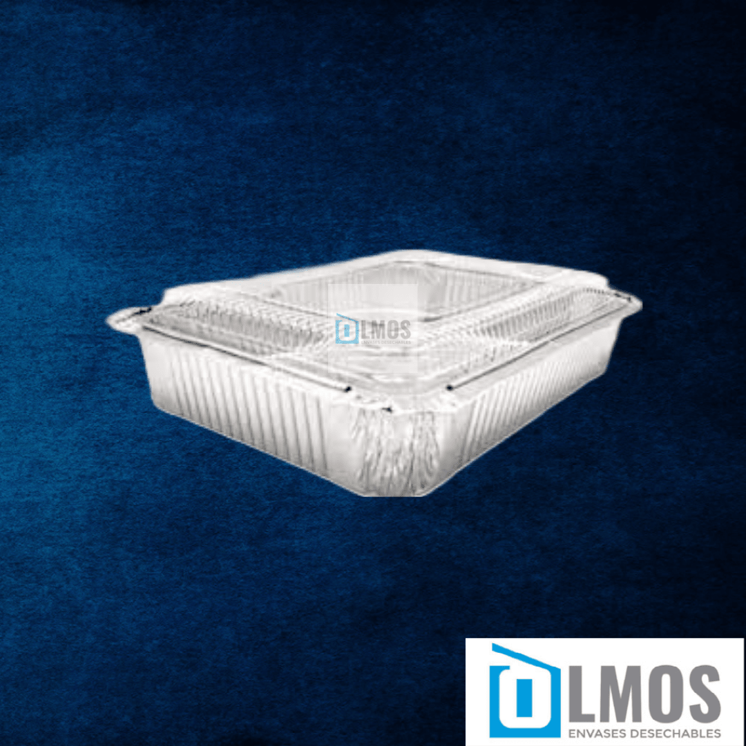 Envases Aluminio(VARIEDADES)4