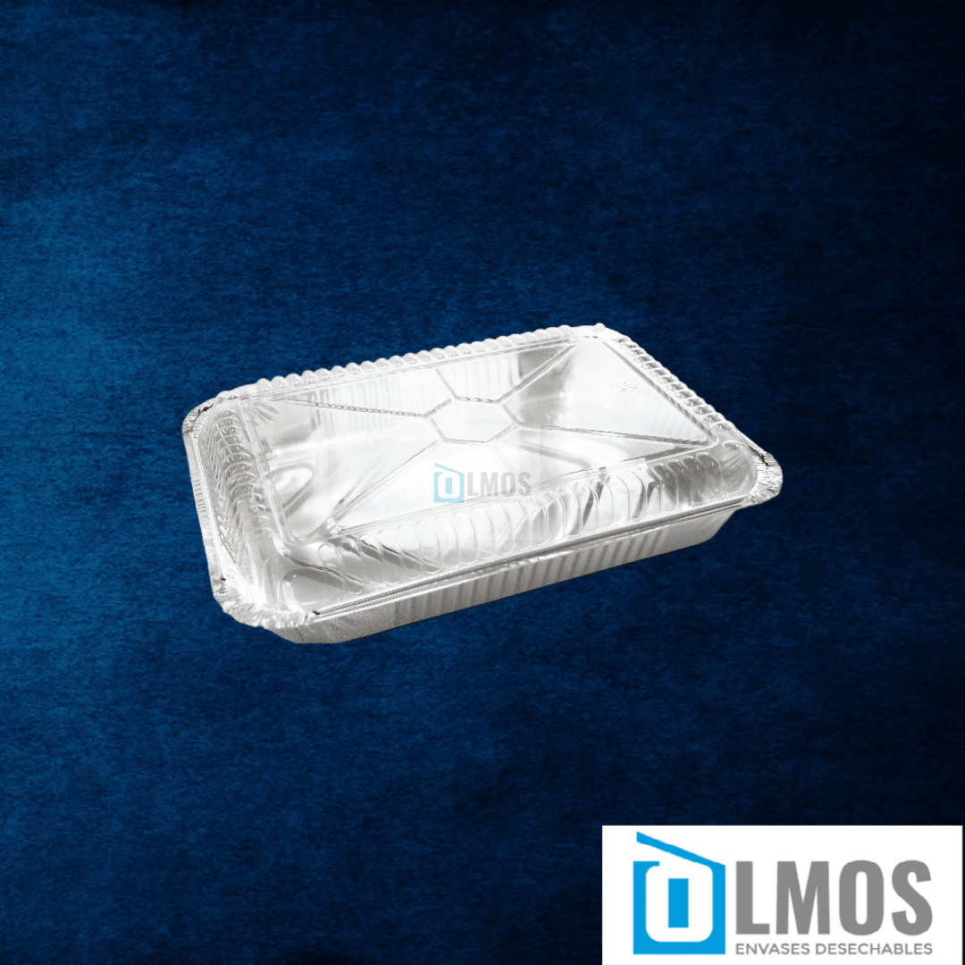 Envases Aluminio(VARIEDADES)6