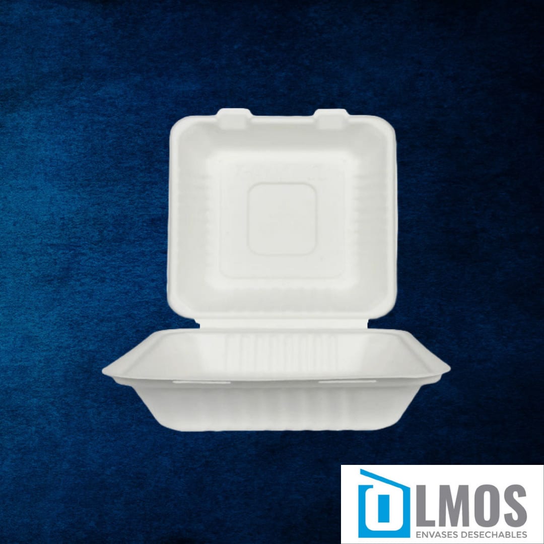 ENVASES GRANDES ECO Variedades (50u) 2