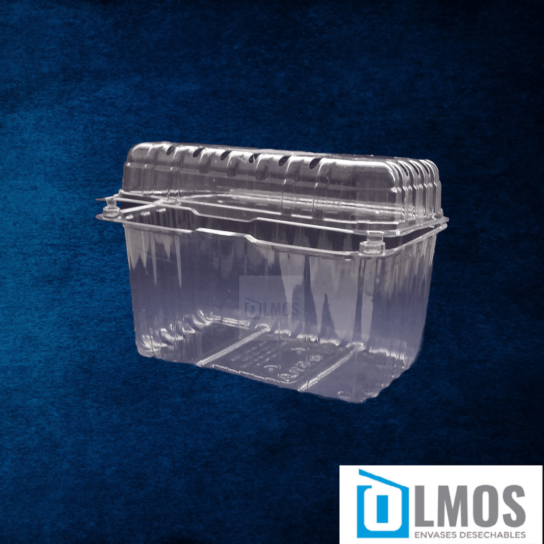 paquete envase frutillero 1kg 100un 2