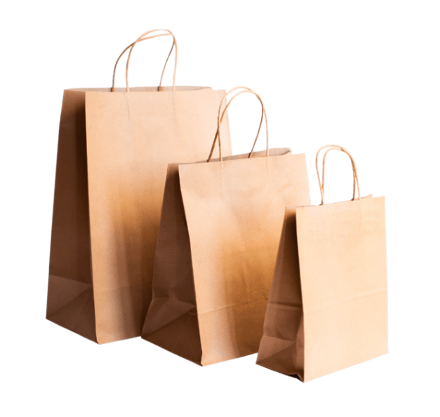 Bolsa manilla Papel (VARIEDADES)3