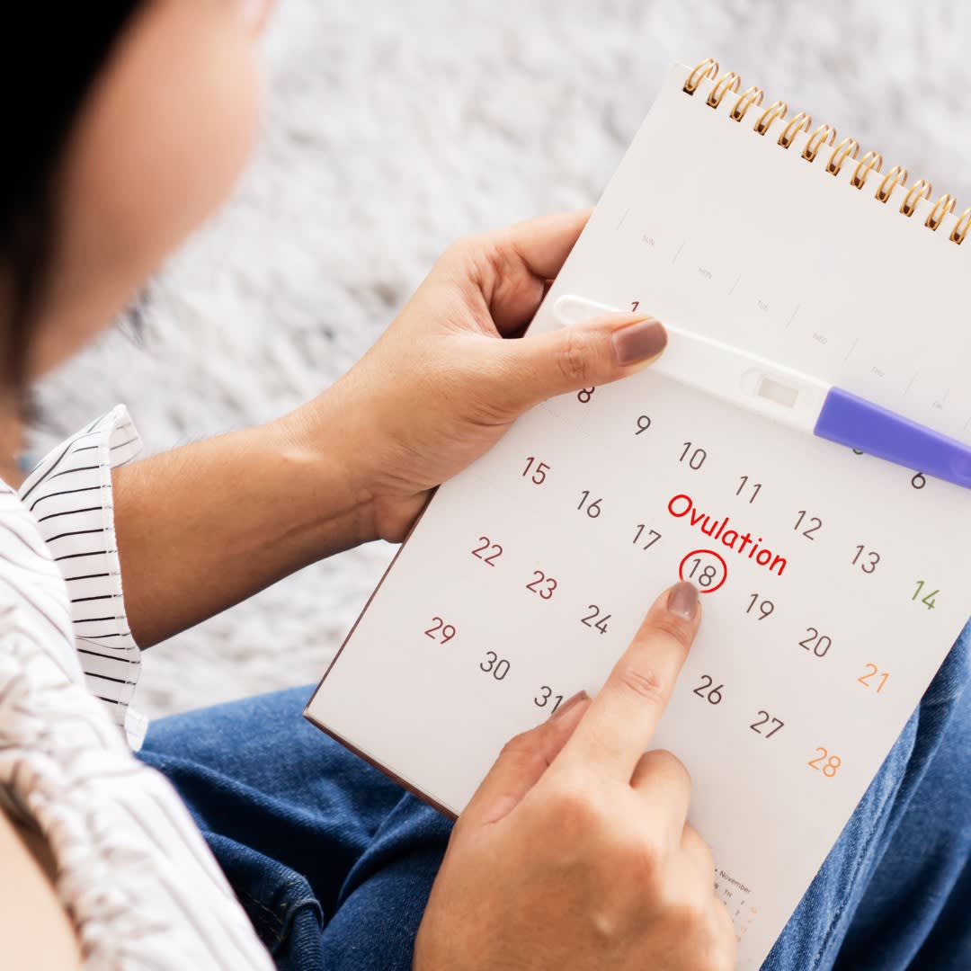 Factores que impactan la calidad de los óvulos