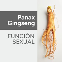 Panax Gingseng & Función sexual