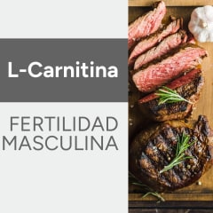 L-Carnitina & Fertilidad Masculina