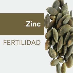 Zinc & Fertilidad