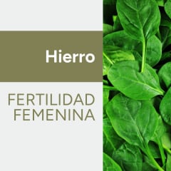 Hierro & Fertilidad femenina
