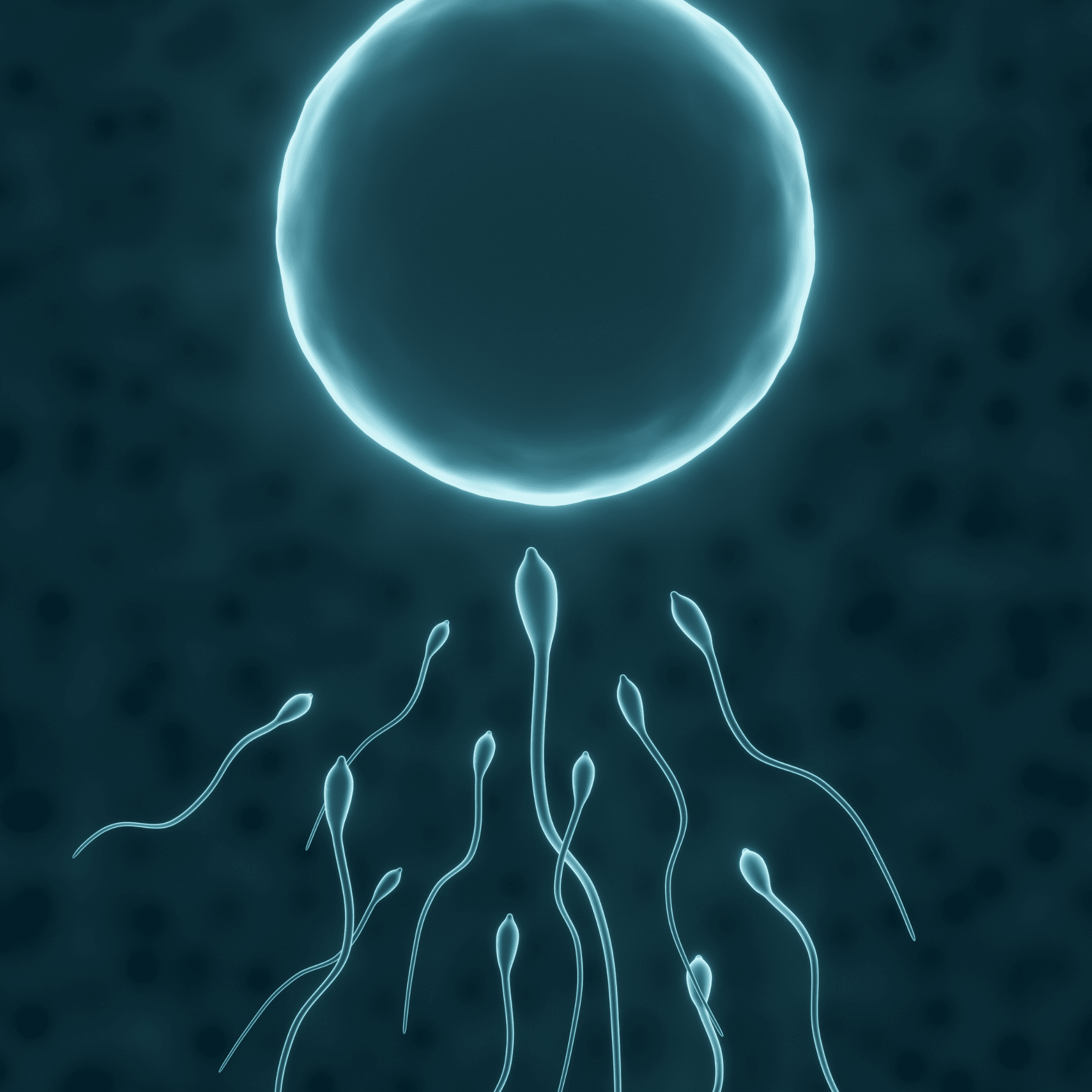 Nuevo estudio de Urólogos Chilenos demuestra que los antioxidantes mejoran la calidad del ADN espermático