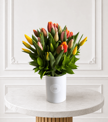 Eli Tulip1