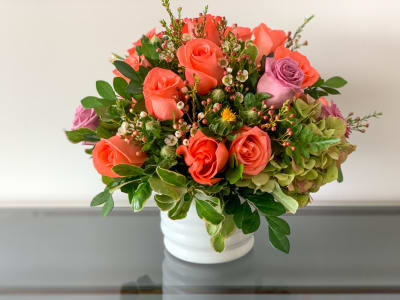 Camelia1