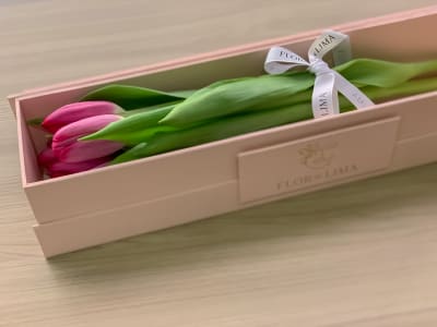 Premium Box