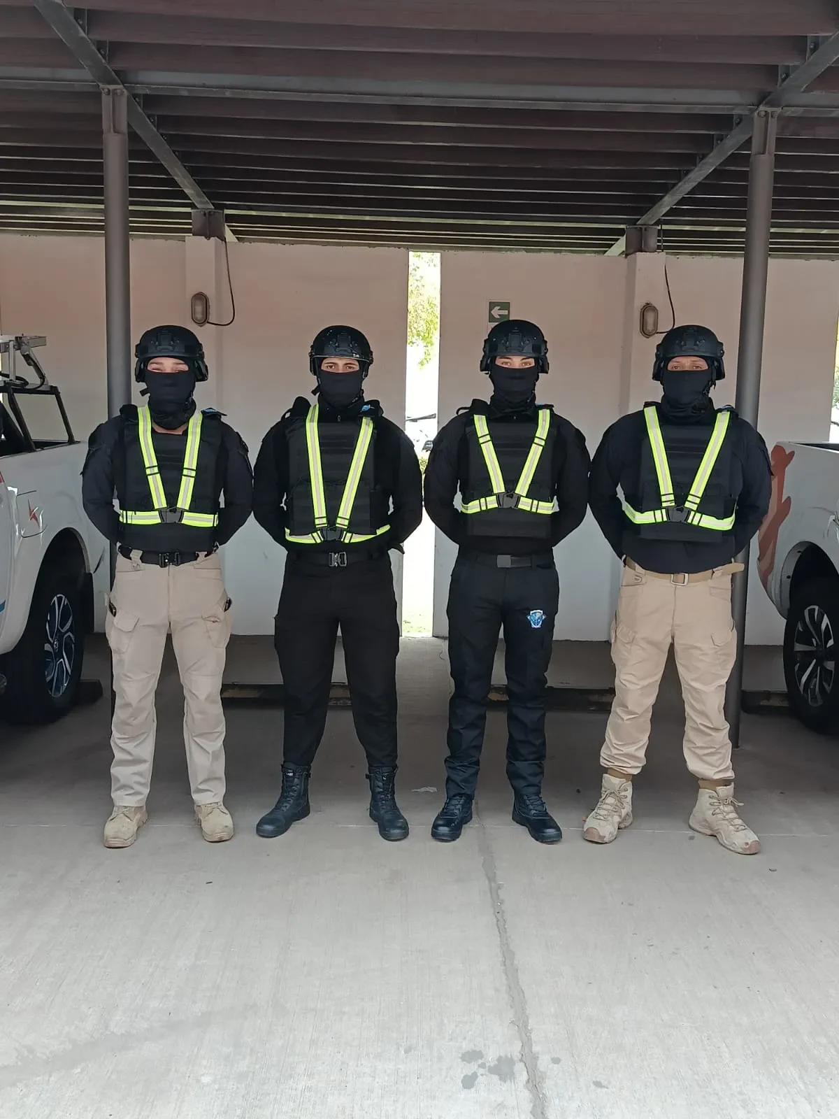 Seguridad Integral