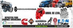 ARBOL DE LEVA