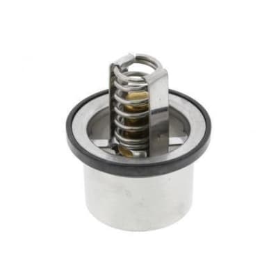 TERMOSTATO 160° DETROIT S-50/60 23503827