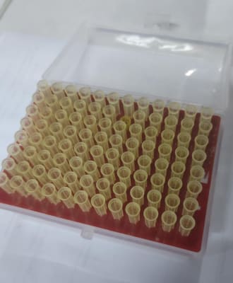 Boquilla de succion de filtro en caja de 50ul 96 piezas (INC IGV)1