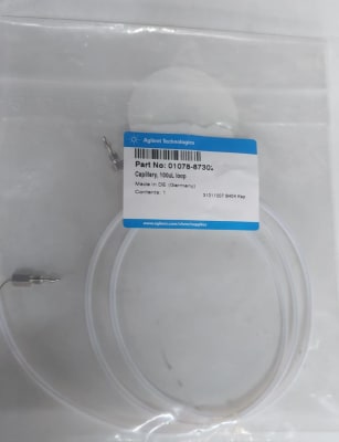 Capillary 100 uL Loop (INC IGV)1