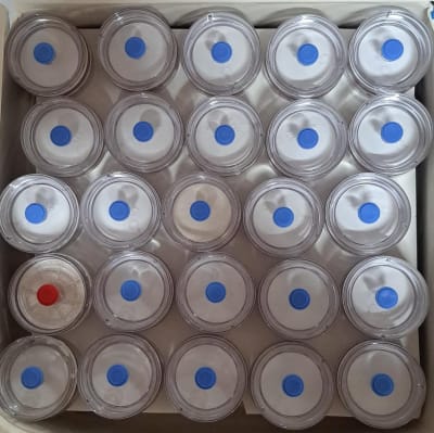 37MM FIELD ANALYSIS MONITORS 50/PK-MILLIPORE, MAWP037P0 (INC IGV)