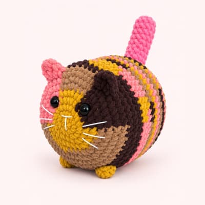 Kit gato guatón1